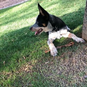 Meet your Posher, Alexis